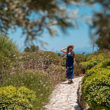 Blueskyline Owner's Listing, By Hellocrete *