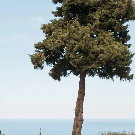 Blueskyline Owner's Listing, By Hellocrete